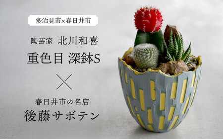 多治見市×春日井市コラボ 【美濃焼】 陶芸家「北川和喜」 重色目 深鉢S × 【日本有数のサボテンの生産地】 春日井市の名店 後藤サボテン 【井澤コーポレーション】[TBP174]