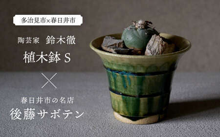 多治見市×春日井市コラボ 【美濃焼】 陶芸家「鈴木徹」植木鉢 S × 【日本有数のサボテンの生産地】 春日井市の名店 後藤サボテン 【井澤コーポレーション】[TBP180]