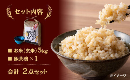 【令和7年産】 玄米 コシヒカリ 特別栽培米 （5kg） + 【美濃焼】 青輝貫入 飯茶碗 多治見市 / 山松加藤松治郎商店 [TEU036]