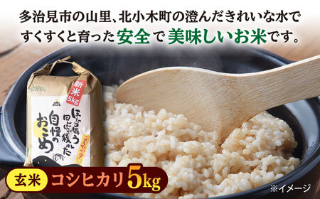 【令和7年産】 玄米 コシヒカリ 特別栽培米 （5kg） + 【美濃焼】 青輝貫入 飯茶碗 多治見市 / 山松加藤松治郎商店 [TEU036]