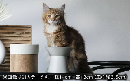 【美濃焼】 ネコ用 フードボウル CHALICE / food bowl(tonoko砥粉) / ＆CAT 多治見市/アペックスハート ネコ 猫 ペット用 ペット用品 ペット ペット用ボウル 猫用ボウル 幼猫 成猫  洗濯可能 洗える カラー 送料無料 [TAB013]