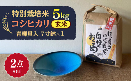 【令和7年産】 玄米 コシヒカリ 特別栽培米 （5kg）+ 【美濃焼】 青輝貫入 7寸鉢 多治見市 / 山松加藤松治郎商店 [TEU052]