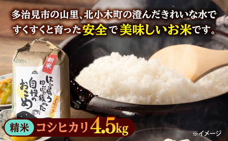 【令和7年産】 精米 コシヒカリ 特別栽培米 （4.5kg）+ 【美濃焼】 青輝貫入 7寸皿 多治見市 / 山松加藤松治郎商店 [TEU053]