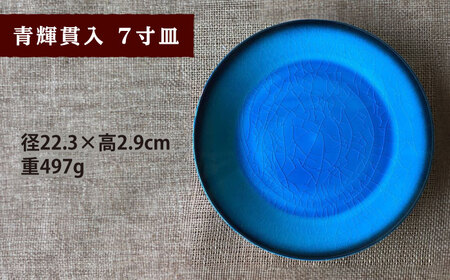 【令和7年産】 精米 コシヒカリ 特別栽培米 （4.5kg）+ 【美濃焼】 青輝貫入 7寸皿 多治見市 / 山松加藤松治郎商店 [TEU053]