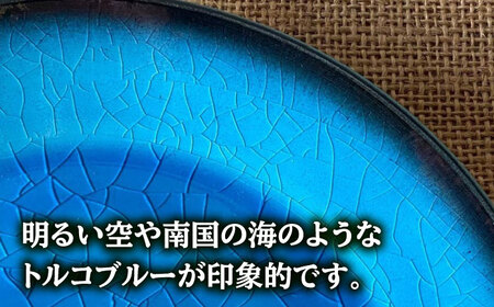 【令和7年産】 精米 コシヒカリ 特別栽培米 （4.5kg）+ 【美濃焼】 青輝貫入 7寸皿 多治見市 / 山松加藤松治郎商店 [TEU053]