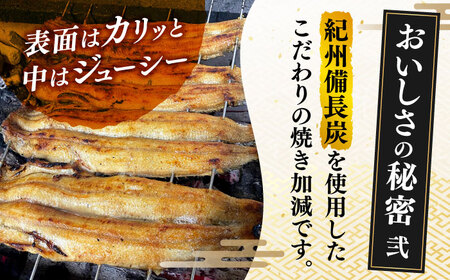 【うなぎや】 炭火焼 うなぎの蒲焼き 1尾 【紀州備長炭使用】 多治見市 鰻 うなぎ ウナギ 蒲焼き 老舗 特大 大 特上 大容量 秘伝 真空パック 冷凍 一尾 180g 栄養 名産 名物 お取り寄せ グルメ 岐阜県 多治見 土用の丑 土用 丑の日 送料無料 父の日 プレゼント ギフト 贈答 贈り物 [TFO001]