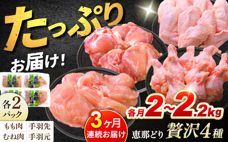 【3回定期便】恵那どり 4種 (もも肉2枚 むね肉2枚 手羽先10本 手羽元10本) 小分け(約2-2.2kg×3回) [TEZ014]