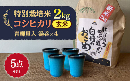 【令和7年産】 玄米 コシヒカリ 特別栽培米 （2kg）+ 【美濃焼】 青輝貫入 湯呑 （4個） 多治見市 / 山松加藤松治郎商店 [TEU058]