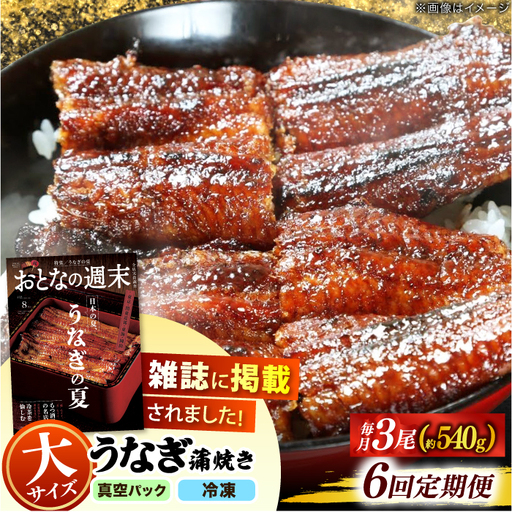 【うなぎや】 【6回定期便】 炭火焼 うなぎの蒲焼き 3尾 【紀州備長炭使用】 鰻 ウナギ 丑の日 多治見市[TFO011]
