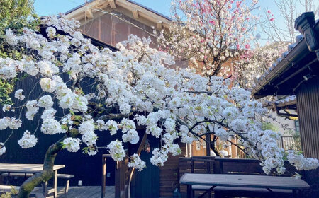 頭ほぐしとアロマボディたまゆら 肩首フワフワ・頭スッキリコース 120分 チケット 多治見市 ヘッドスパ マッサージ[TFI002]