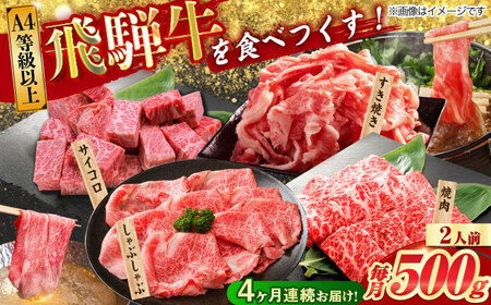 【4回定期便】 飛騨牛 プレミアム 定期便 2人前 ( しゃぶしゃぶ × すき焼き × サイコロステーキ × 焼肉 ) 各500g[TAZ046]牛