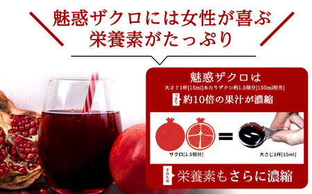 魅惑ザクロジュース 6袋 多治見市 / ユアーズ[TGK004]