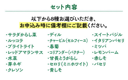マイクロ野菜 品種が選べる 8点セット 多治見市 / 諏訪農林[TDO006]