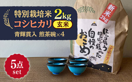 【令和7年産】 玄米 コシヒカリ 特別栽培米 （2kg）+ 【美濃焼】 青輝貫入 煎茶碗 （4個） 多治見市 / 山松加藤松治郎商店 [TEU062]