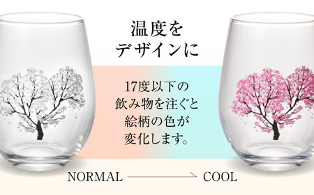 温度で変化する器 フリーグラス 『冷感桜』　 多治見市 / 丸モ高木陶器[TBA245]