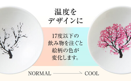 【美濃焼】 温度で変化する酒器 白平盃 『冷感桜』 多治見市 / 丸モ高木陶器[TBA251]