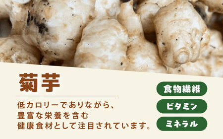 菊芋チップス 200g 乾燥菊芋 野菜チップス ノンフライ 多治見市 / 諏訪農林[TDO008]