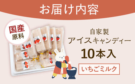 【手作りアイス】 いちごミルク アイスキャンディー 10本入り 無香料 無着色 多治見市 / エイシン いちご ミルク 詰め合わせ 無添加 自家製[THD010]