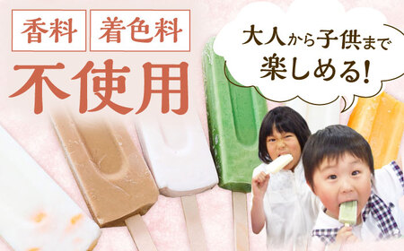 【手作りアイス】 全9種類 アイスまんじゅう アイスキャンディー 詰め合わせ 食べ比べ 9本入り 無香料 無着色 多治見市 / エイシン あずき 餡 ミルク いちご 抹茶 フルーツ オレンジ コーヒー アイス 無添加 自家製[THD012]