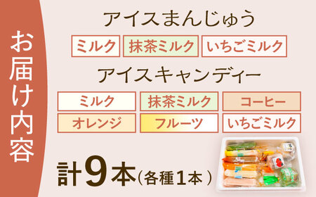 【手作りアイス】 全9種類 アイスまんじゅう アイスキャンディー 詰め合わせ 食べ比べ 9本入り 無香料 無着色 多治見市 / エイシン あずき 餡 ミルク いちご 抹茶 フルーツ オレンジ コーヒー アイス 無添加 自家製[THD012]
