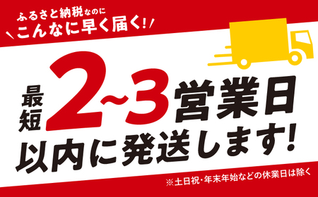 【3回定期便】 飛騨牛 切り落とし 700g 多治見市 / 養老ミート 冷凍 赤身 和牛 訳あり ギフト[THG017]