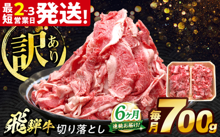 【6回定期便】 飛騨牛 切り落とし 700g 多治見市 / 養老ミート 冷凍 赤身 和牛 訳あり ギフト[THG018]