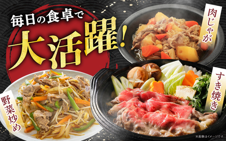 【12回定期便】 飛騨牛 切り落とし 700g 多治見市 / 養老ミート 冷凍 赤身 和牛 訳あり ギフト[THG019]