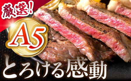 《冷蔵》 【A5等級】 飛騨牛 サーロインステーキ 計600g(150g×4枚) 〈真空パック〉 多治見市 / 肉の沖村 A5 牛肉 ギフト 贈り物[THI012]