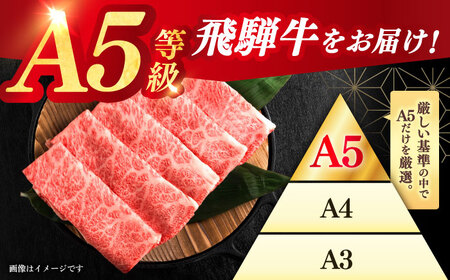 【A5等級】 飛騨牛 肩ロース スライス 500g 多治見市 / 豊吉屋精肉店 プロトン凍結 氷温(R)熟成 国産 ブランド牛[THK001]