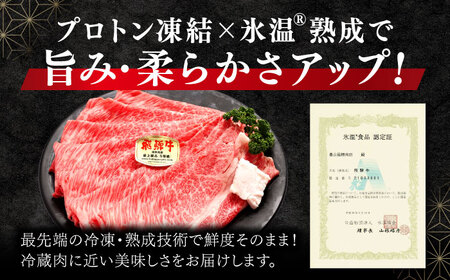 【A5等級】 飛騨牛 肩ロース スライス 500g 多治見市 / 豊吉屋精肉店 プロトン凍結 氷温(R)熟成 国産 ブランド牛[THK001]