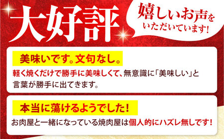 【A5等級】 飛騨牛 ミスジ・三角バラ 500ｇ 焼肉用 特上カルビ 多治見市 / 飛騨牛の丸明 冷凍 和牛 希少部位 赤身 霜降り BBQ[THL004]