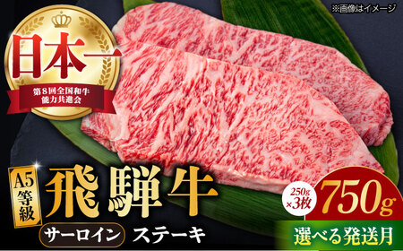 【6月発送】【飛騨牛】 A5等級 サーロイン ステーキ用 3枚 (計750g) 和牛 ブランド牛 国産 牛肉 多治見市 / 渡辺精肉店 [TAZ001-6]