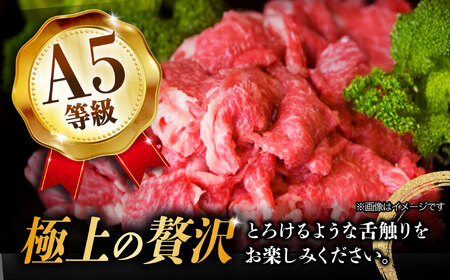 【4月発送】【飛騨牛】 切り落とし 500g 和牛 ブランド牛 国産 牛肉 多治見市 / 渡辺精肉店 [TAZ004-4]