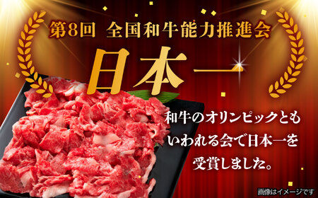 【4月発送】【飛騨牛】 切り落とし 500g 和牛 ブランド牛 国産 牛肉 多治見市 / 渡辺精肉店 [TAZ004-4]
