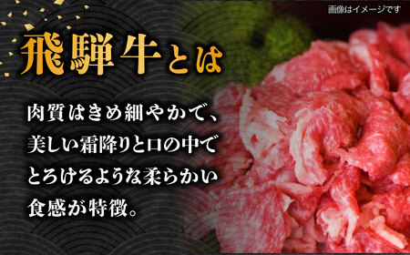 【2月発送】【飛騨牛】 切り落とし 1kg 和牛 ブランド牛 国産 牛肉 多治見市 / 渡辺精肉店 [TAZ005-2]