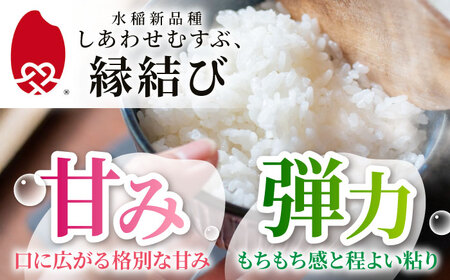 精米 R7年産 5kg [3月発送］米 多治見市  [THU001-3]