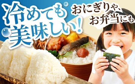 精米 R7年産 5kg [3月発送］米 多治見市  [THU001-3]