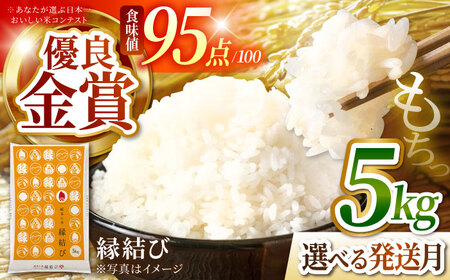 精米 R7年産 5kg [5月発送] 米 多治見市 [THU001-5]