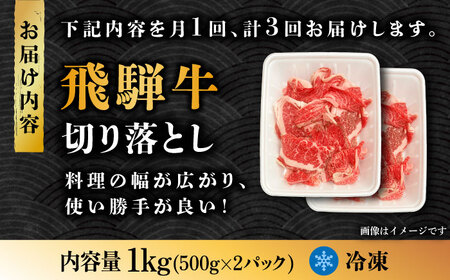 【3回定期便】飛騨牛切り落とし 1kg  多治見市/肉の丸長 和牛 切り落し 小分け 薄切り 肉じゃが 牛丼 カレー ビーフシチュー 切り落とし スライス すき焼き しゃぶしゃぶ うす切り 牛肉 飛騨牛 定期便 ギフト 贈答 贈り物 送料無料   [TAZ015]