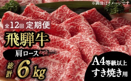 【12回定期便】飛騨牛A4等級以上 ロース 肩ロース すき焼き用 500g 多治見市/肉の丸長 和牛 a4 薄切り 焼肉 炒め物 飛騨牛 すき焼き すきやき しゃぶしゃぶ 肩ロース ロース 赤身 スライス うす切り A4ランク ブランド牛 国産 お肉 牛肉 ロース肉 牛ロース 定期便 ギフト プレゼント 贈答 贈り物 送料無料   [TAZ020]