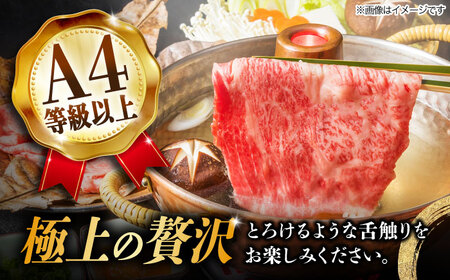 【3回定期便】飛騨牛A4等級以上 ロース 肩ロース しゃぶしゃぶ用 500g 多治見市/肉の丸長 国産 和牛 a4 薄切り 焼肉 炒め物 飛騨牛 すき焼き すきやき しゃぶしゃぶ 肩ロース ロース 赤身 スライス うす切り A4ランク ブランド牛 国産 お肉 牛肉 ロース肉 牛ロース 定期便 ギフト プレゼント 贈答 贈り物 送料無料  [TAZ024]