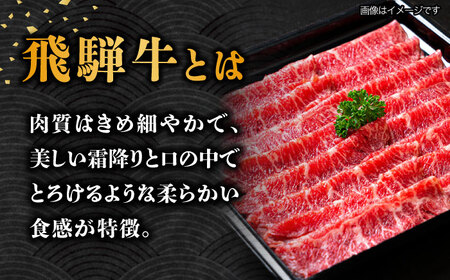 【3回定期便】飛騨牛A4等級以上 ロース 肩ロース しゃぶしゃぶ用 500g 多治見市/肉の丸長 国産 和牛 a4 薄切り 焼肉 炒め物 飛騨牛 すき焼き すきやき しゃぶしゃぶ 肩ロース ロース 赤身 スライス うす切り A4ランク ブランド牛 国産 お肉 牛肉 ロース肉 牛ロース 定期便 ギフト プレゼント 贈答 贈り物 送料無料  [TAZ024]