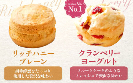 リッチハニースコーンセット（クリーム付き） 多治見市/famfam スコーン 洋菓子 個包装 詰め合わせ スイーツ  [TAK004]