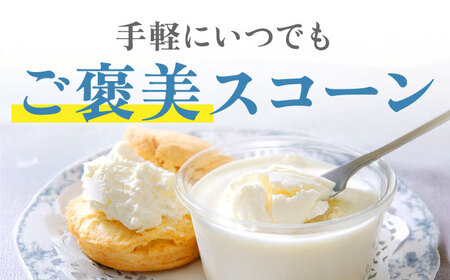  スコーンクリームサンド アソートセット 10P 多治見市/famfam スコーン 洋菓子 個包装 詰め合わせ 詰合せ おまかせ スイーツ デザート クリーム 焼き菓子 セット 朝食 おやつ ティータイム 手土産 冷凍 送料無料 母の日 父の日 プレゼント ギフト 贈答 贈り物 [TAK005]