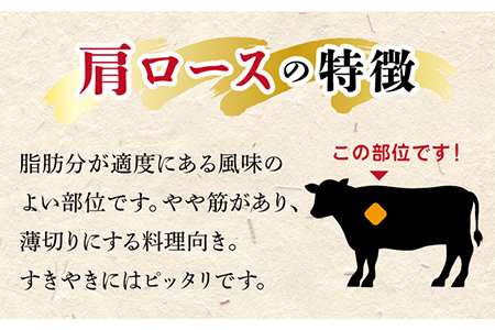 【飛騨牛】A4等級以上 ロース 肩ロース すき焼き用 500g 多治見市/肉の丸長 和牛 ブランド牛 国産 飛騨牛 お肉 肉 ロース ロース肉 牛ロース すき焼き しゃぶしゃぶ うす切り  多治見 岐阜県 ギフト プレゼント 贈答 贈り物 送料無料   [TAZ006]