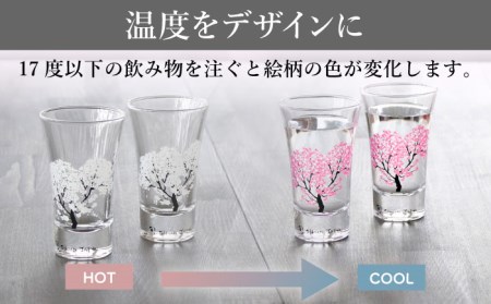 温度で変化する器 グラス天開ぺアセット 『冷感桜 』【丸モ高木陶器】コップ ビールグラス 食器   [TBA001]