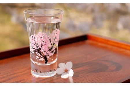 温度で変化する器 グラス天開ぺアセット 『冷感桜 』【丸モ高木陶器】コップ ビールグラス 食器   [TBA001]