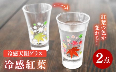 温度で変化する器 グラス天開ぺアセット 『冷感紅葉』【丸モ高木陶器】コップ ビールグラス 食器   [TBA003]