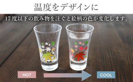 温度で変化する器 グラス天開ぺアセット 『冷感紅葉』【丸モ高木陶器】コップ ビールグラス 食器   [TBA003]