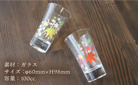 温度で変化する器 グラス天開ぺアセット 『冷感紅葉』【丸モ高木陶器】コップ ビールグラス 食器   [TBA003]